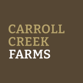 CCF-Text-Brown