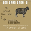lamb_dressout-18